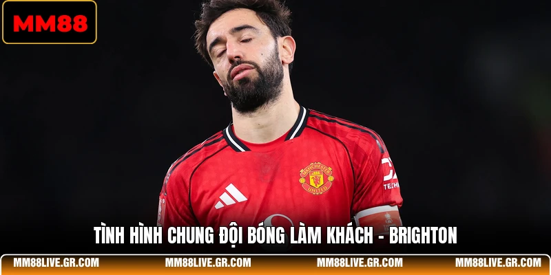 Tình hình chung đội bóng làm khách - Brighton 